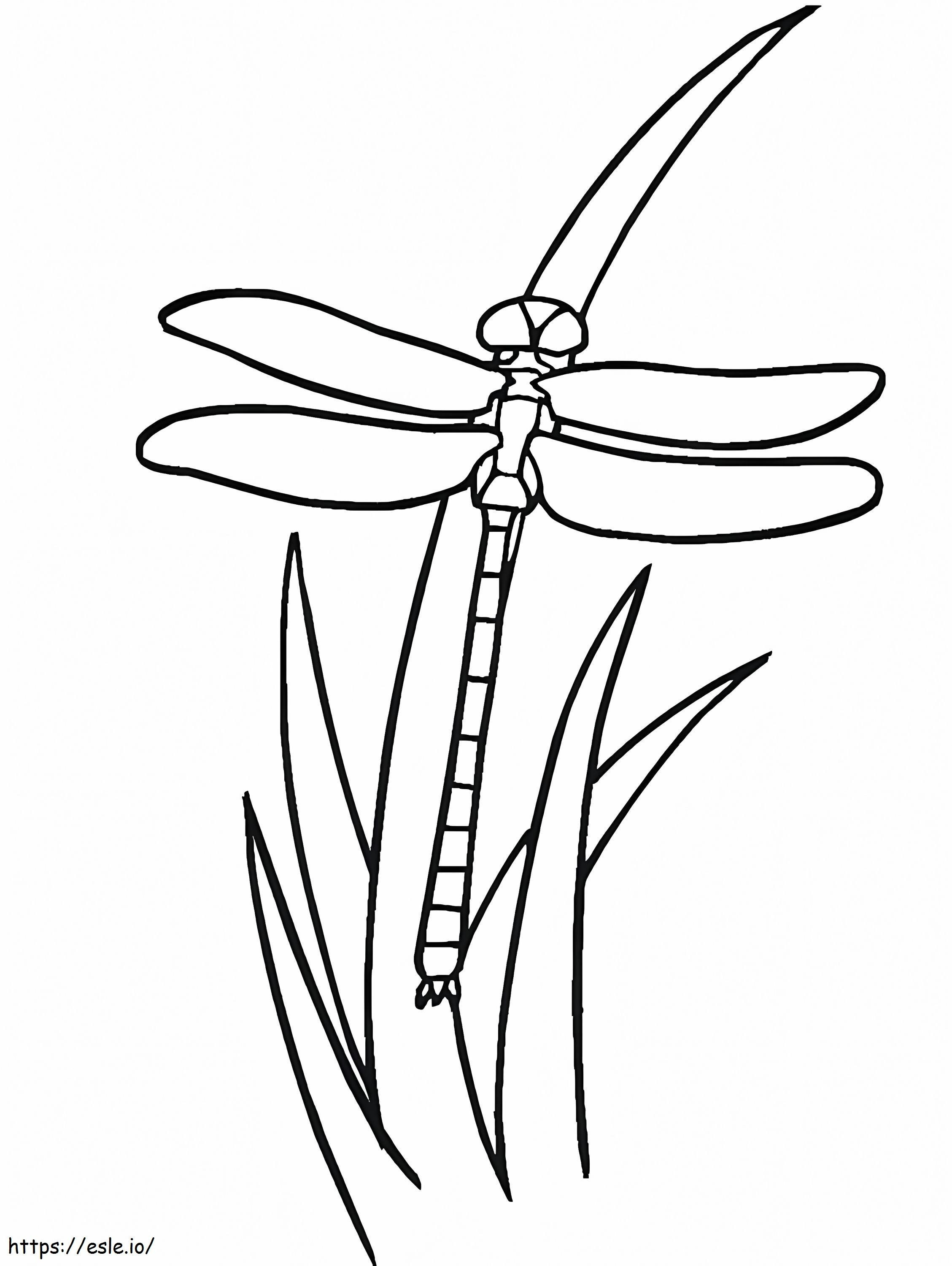 Dragonfly On Grass coloring page