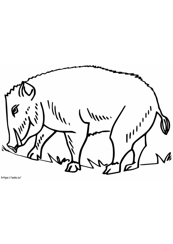 Wild Boar On Land coloring page