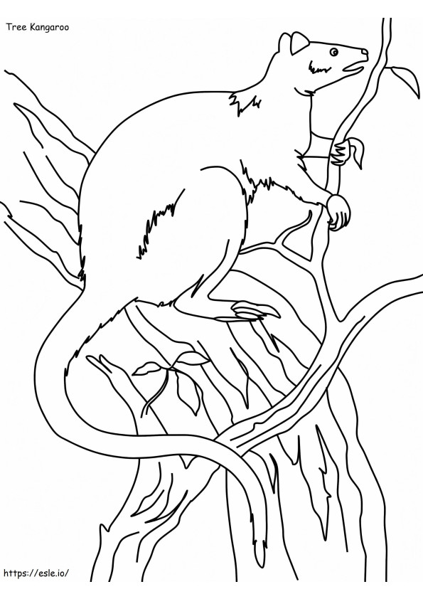 Coloriage Kangourou arboricole gratuit à imprimer dessin