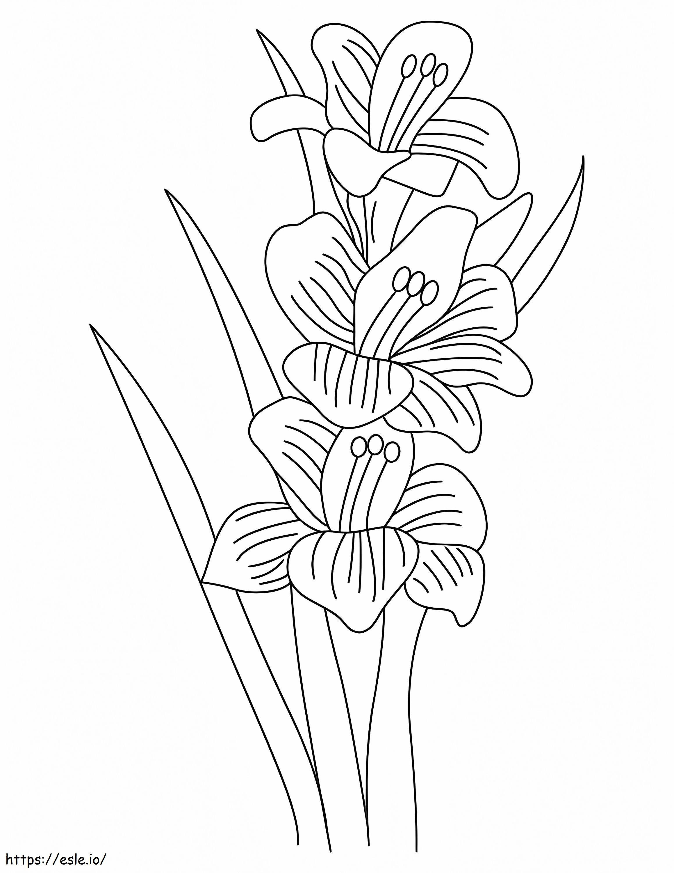 Coloriage Fleurs de glaïeul 7 à imprimer dessin