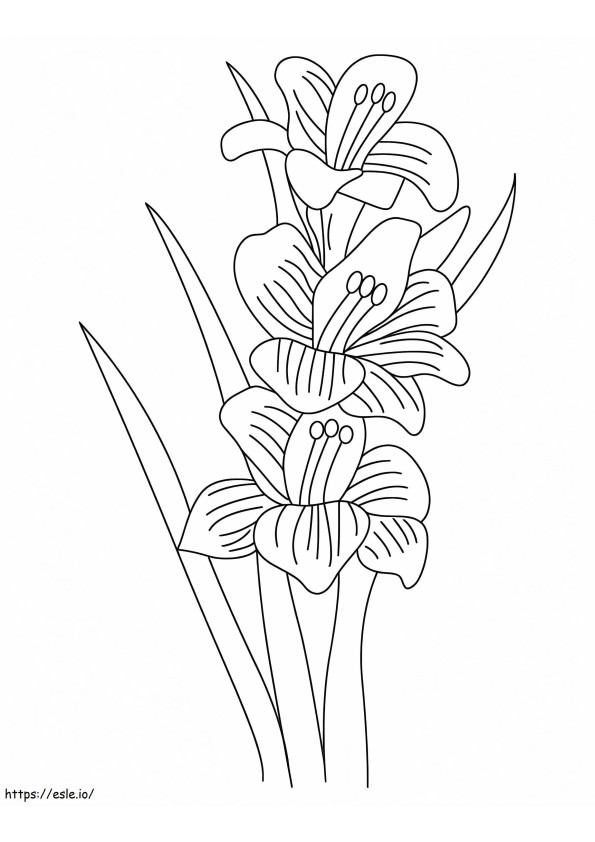 Flores de gladiolo 7 para colorear