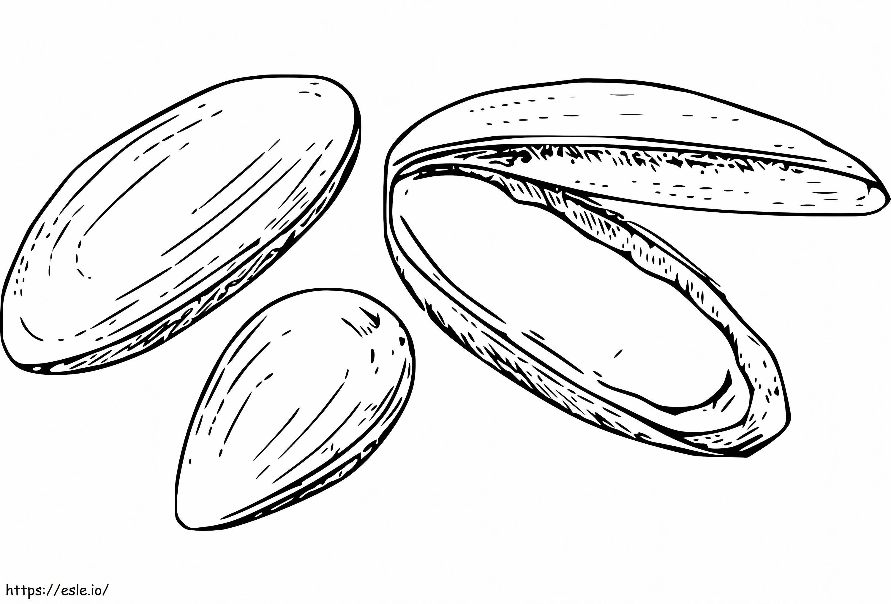 Printable Mussels coloring page