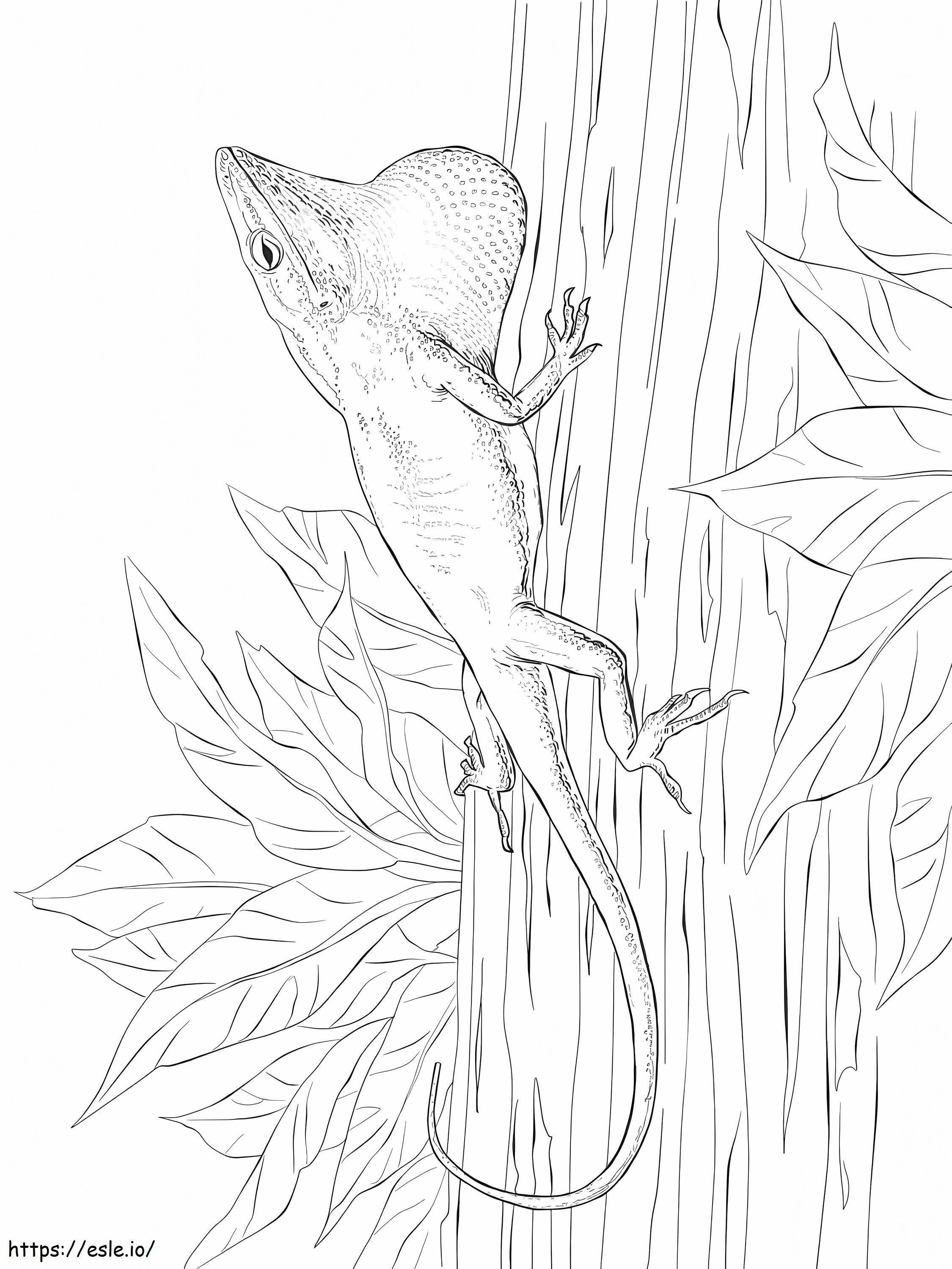 One Anol Verde coloring page