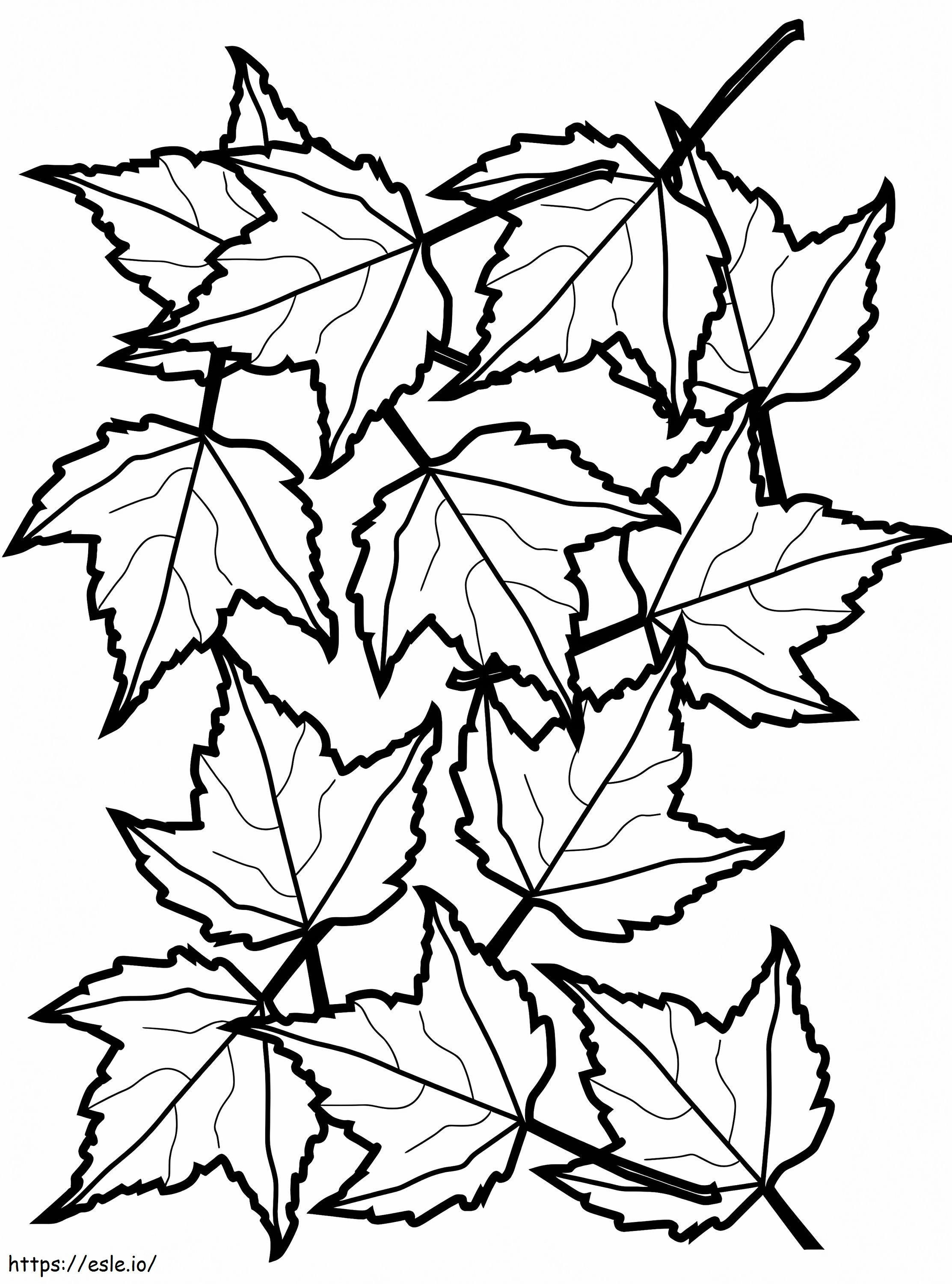 Autumn Maple Leaves coloring page