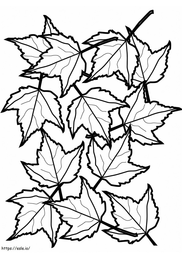 Folhas de bordo de outono para colorir