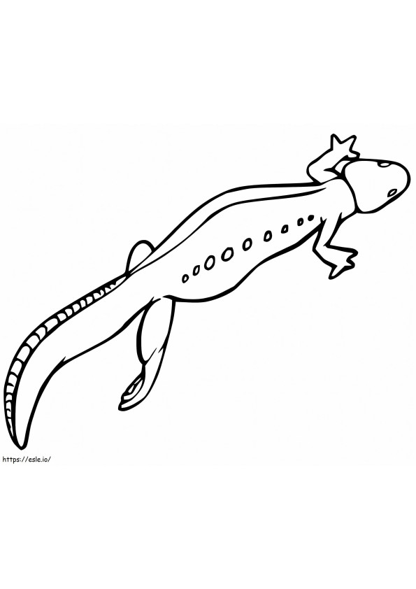 Keizer Newt