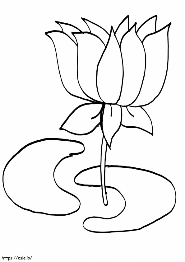 Lotus de bază de colorat