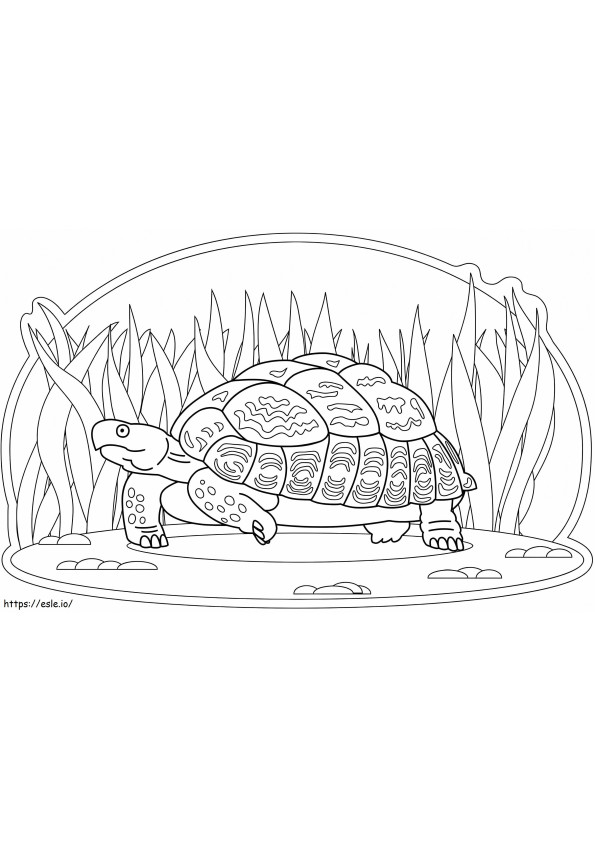 Turtle Walks coloring page