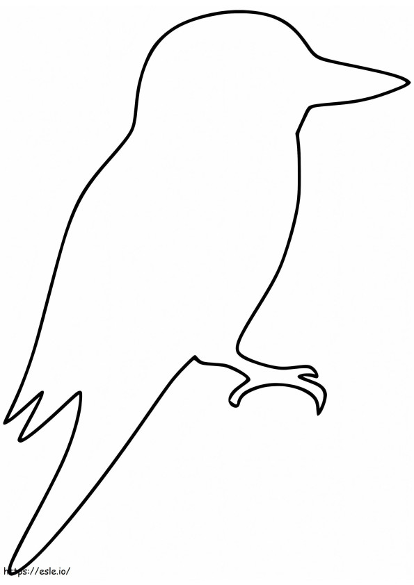 Kookaburra'nın ana hatları boyama