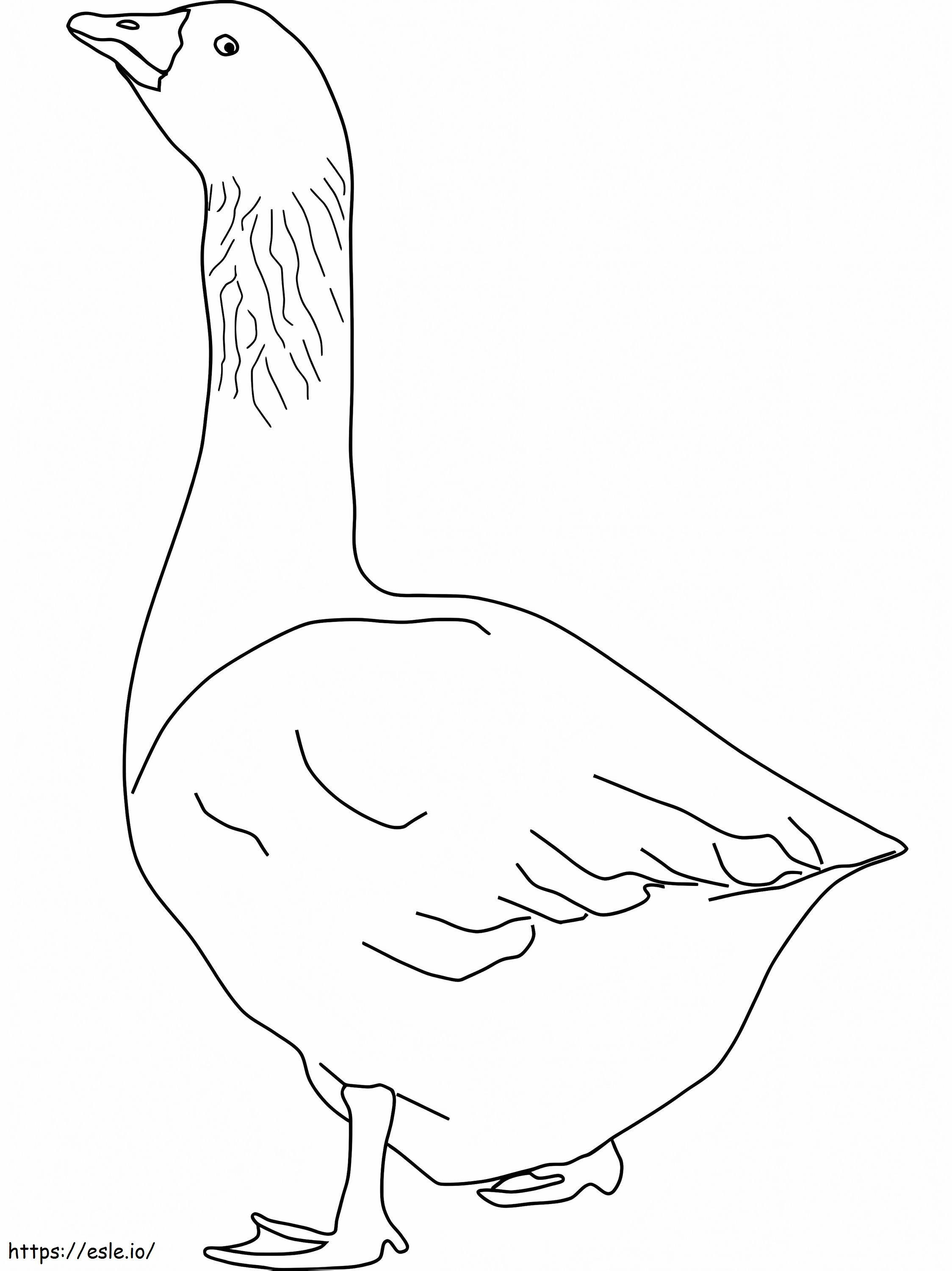 Goose 1 coloring page