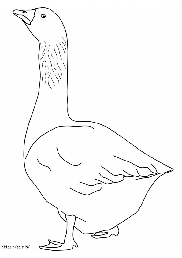 Goose 1 coloring page