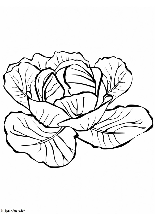 Cabbage 3 coloring page