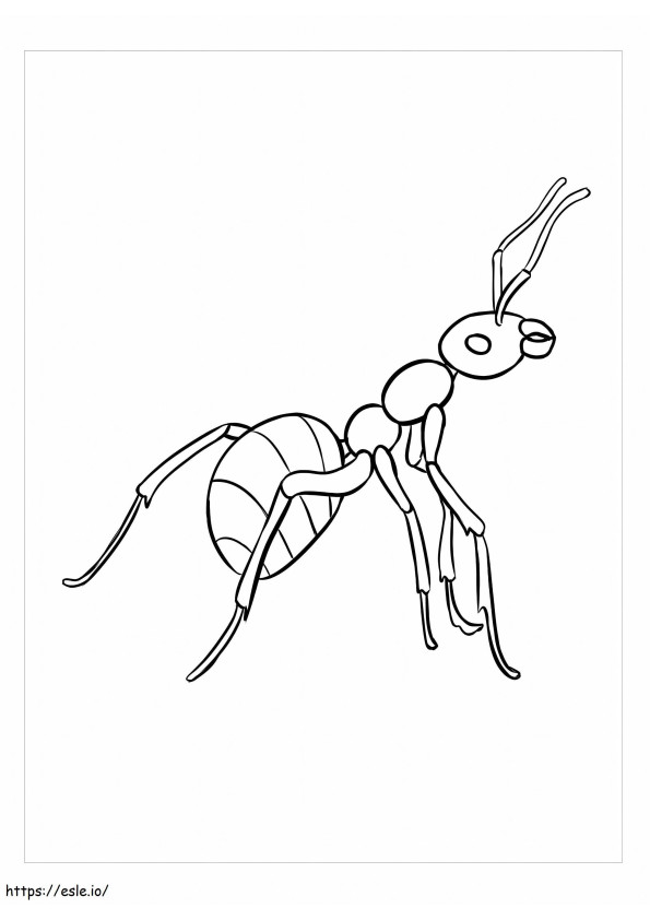 Darmowe obrazy mrówek kolorowanka