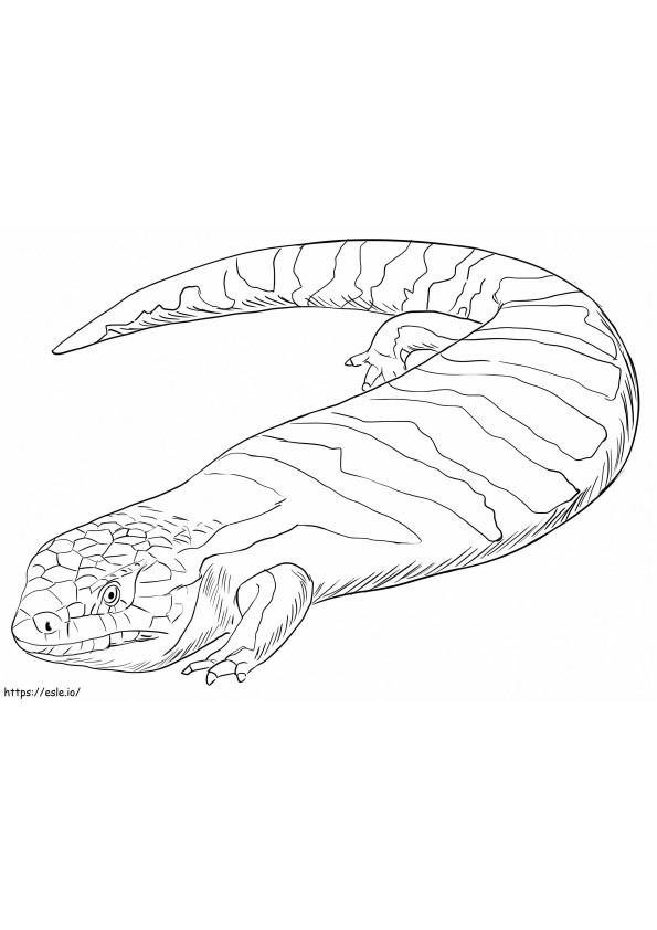 Realistic Skink coloring page