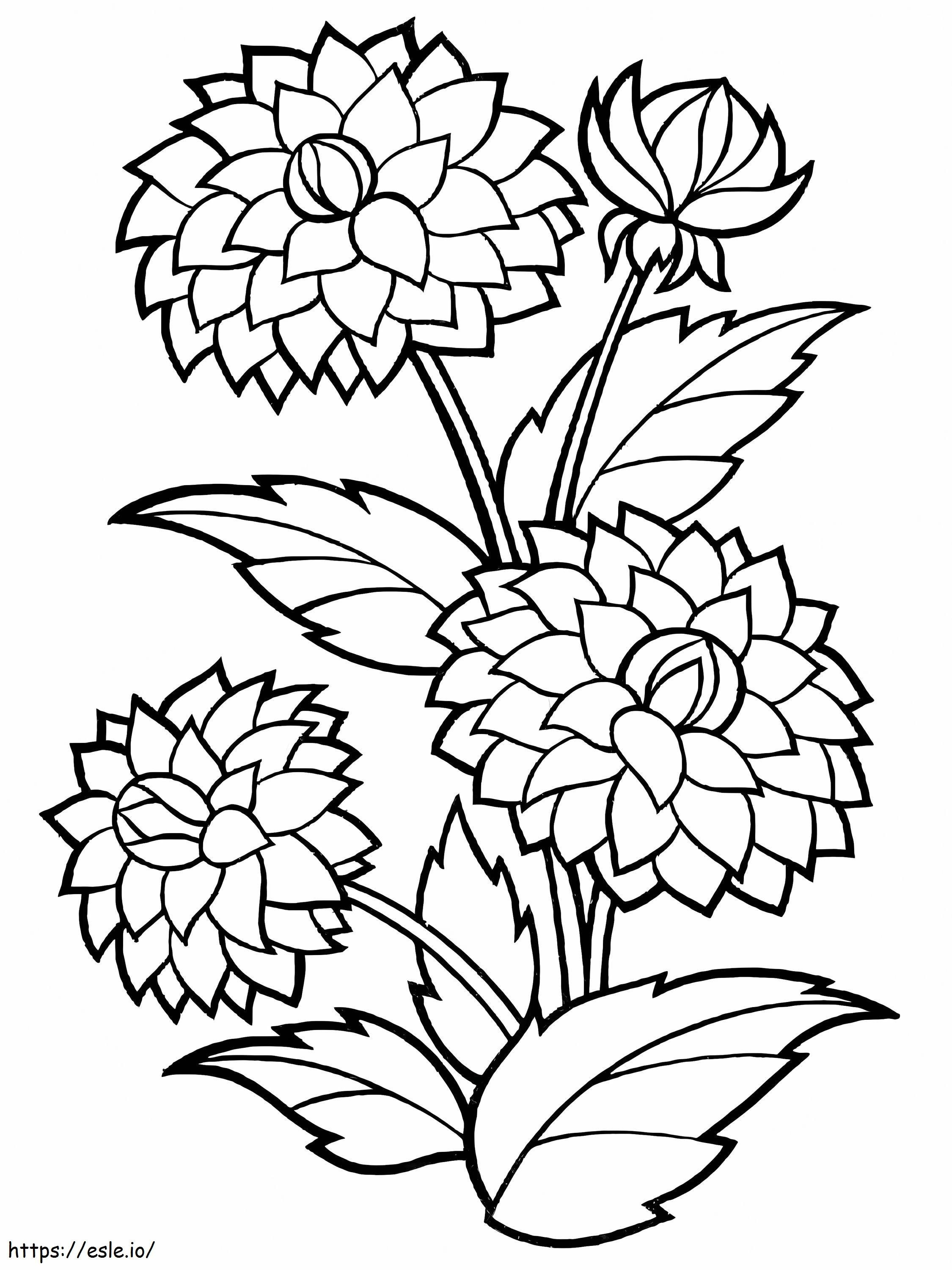 Dahliabloemen om af te drukken kleurplaat kleurplaat