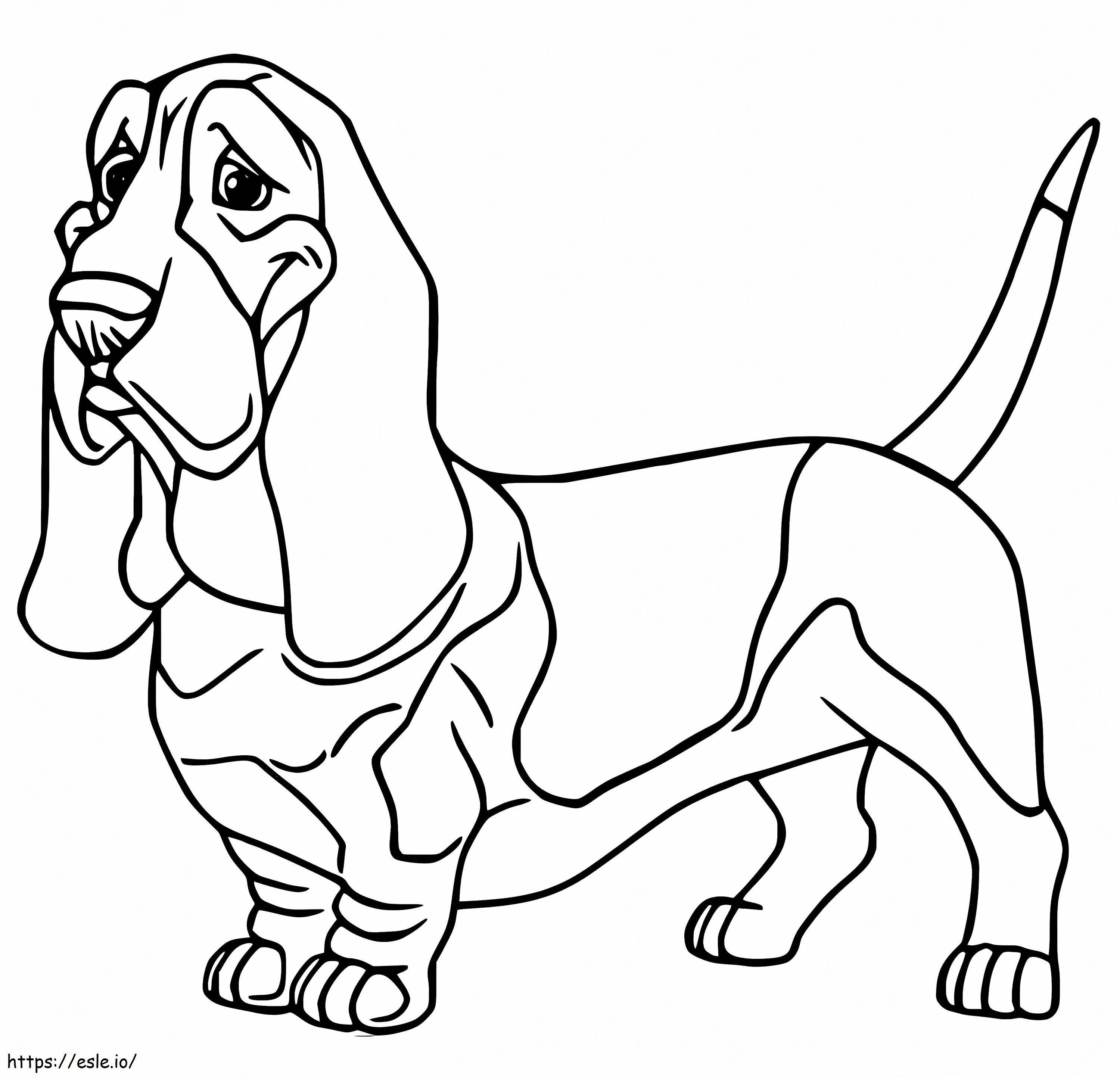 Basset Hound 1 coloring page