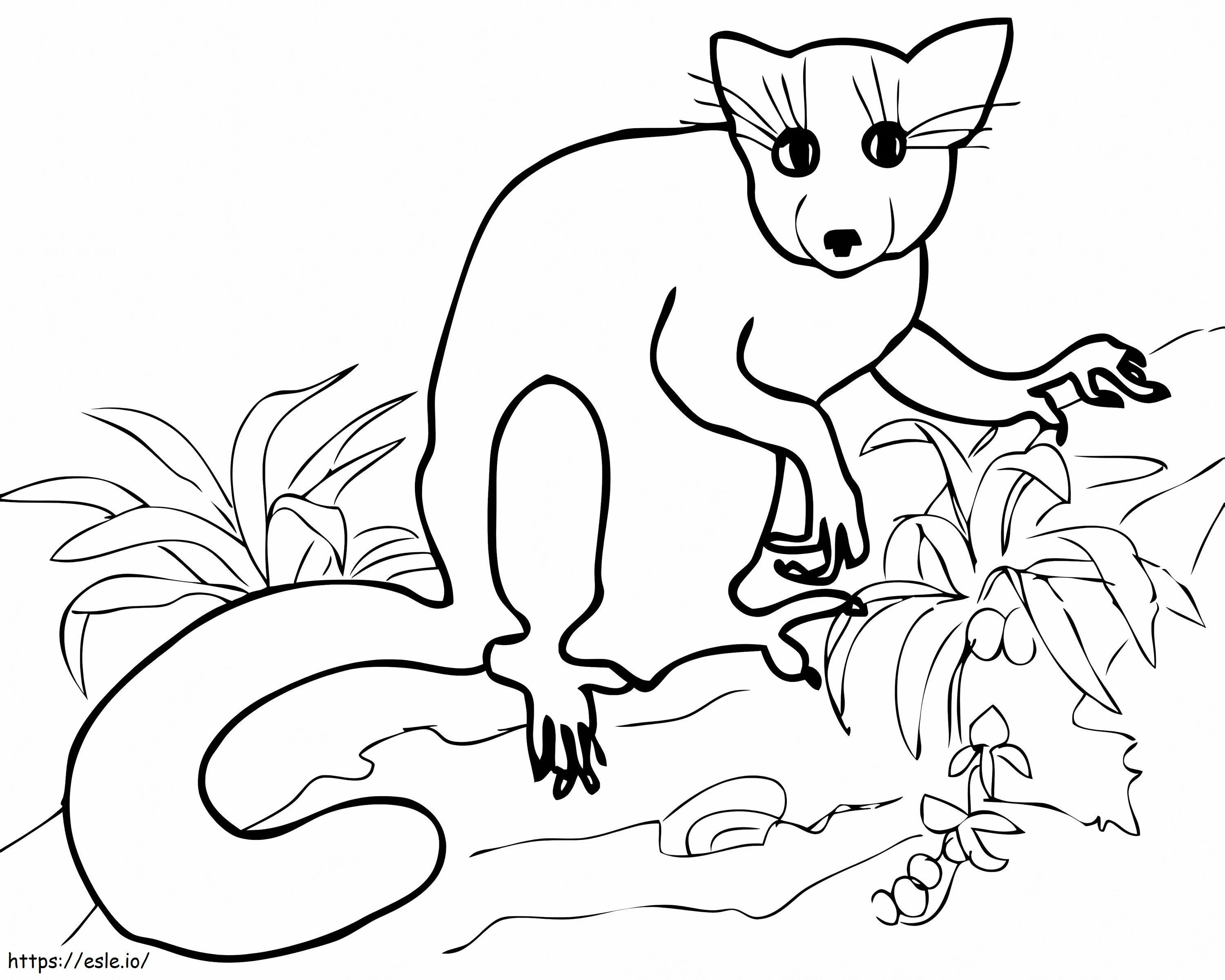 Madagascar Planet Earth coloring page