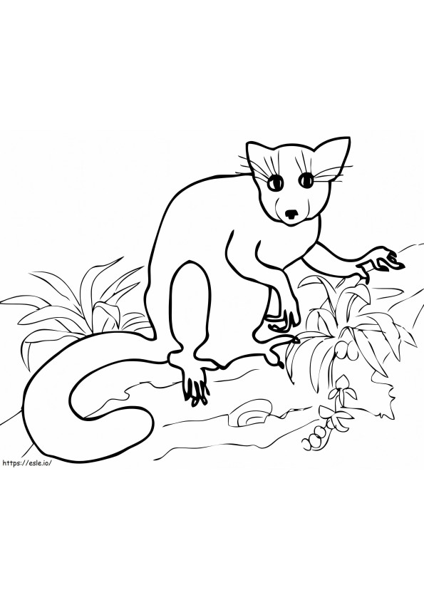 Madagascar Planet Earth coloring page