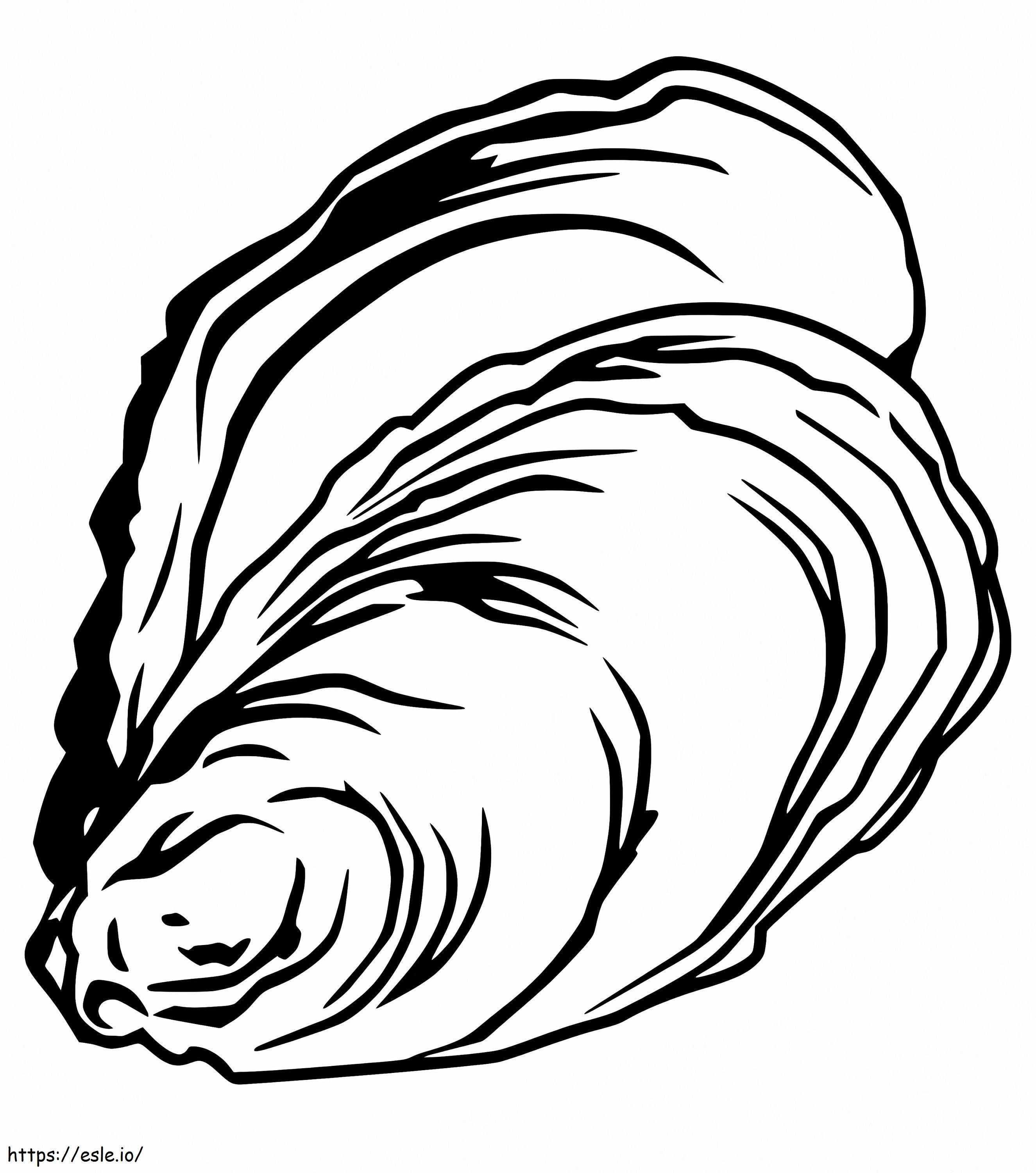 Free Oyster coloring page