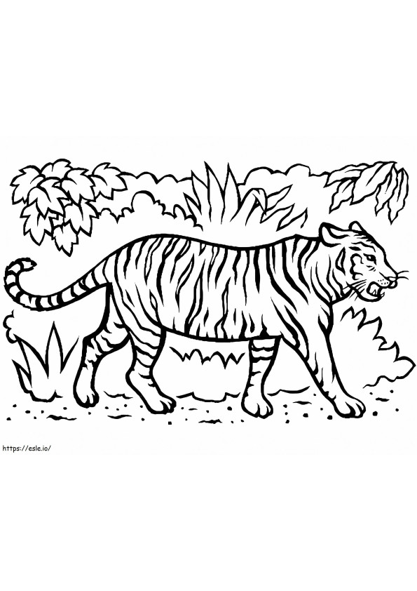 Tigru în junglă de colorat