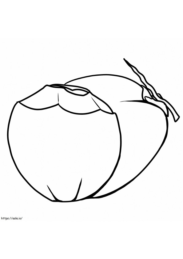 ココナッツ 2 個