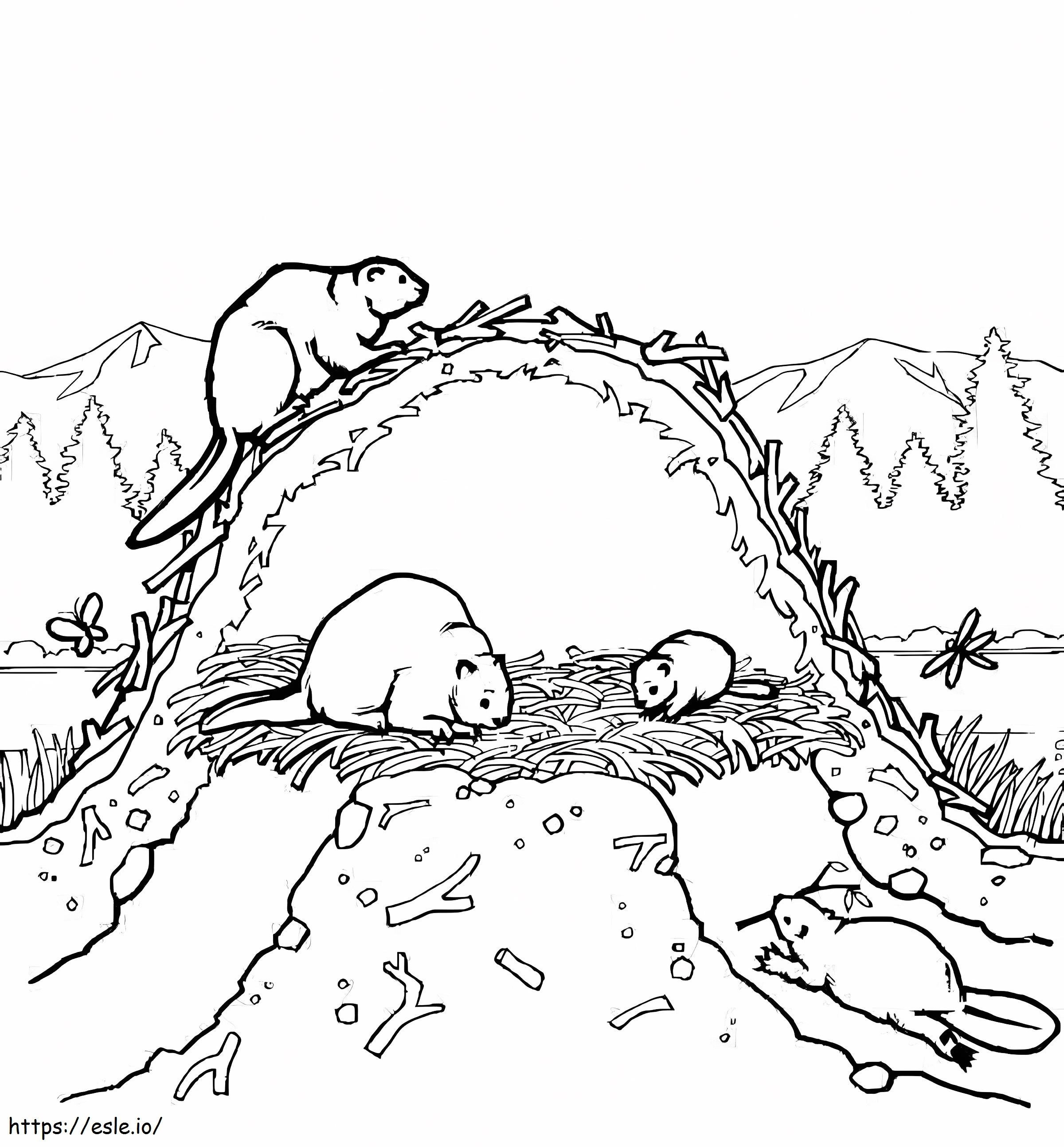 Beaver Family coloring page