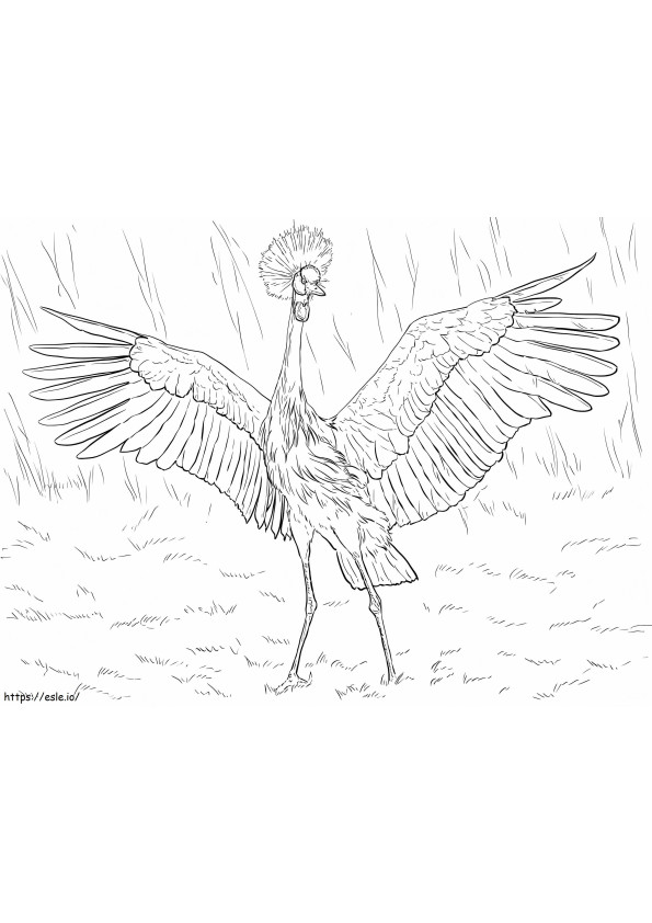 African Black Crowned Crane coloring page