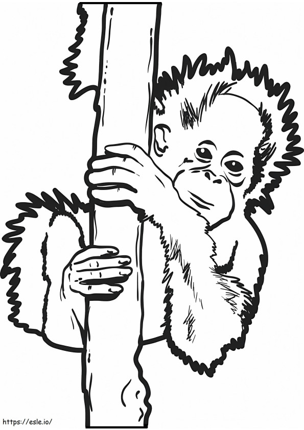 Coloriage Superbe orang-outan à imprimer dessin