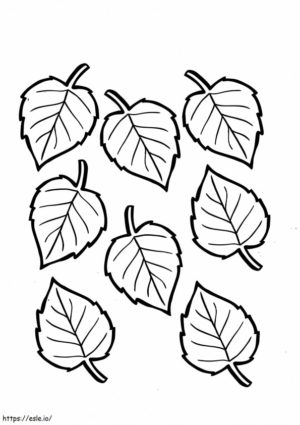 Otto foglie da colorare