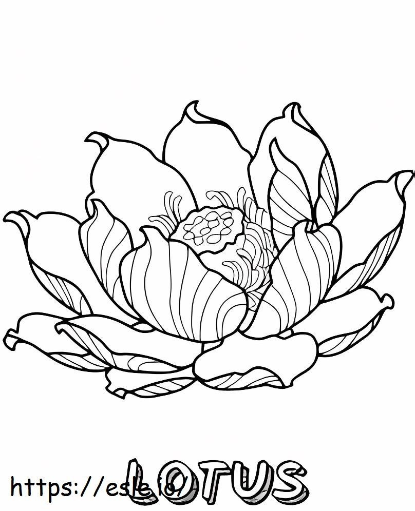 Lotus 2 coloring page