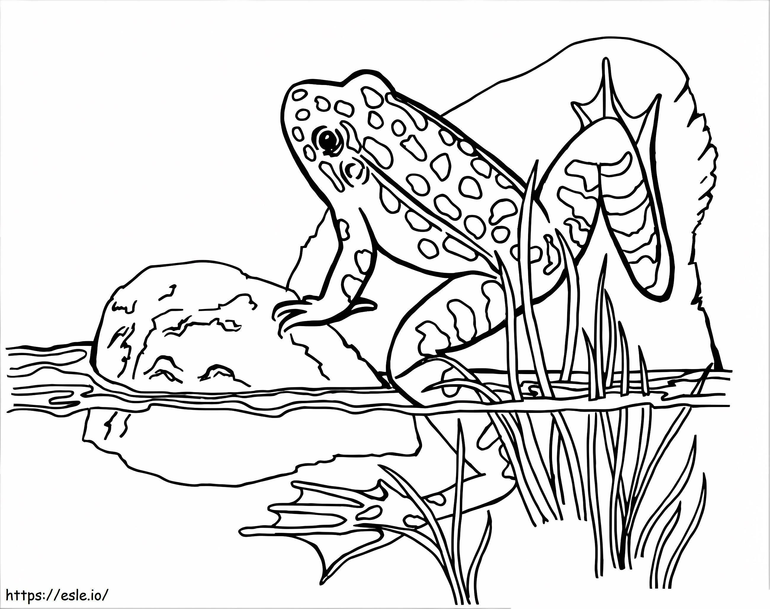 カエル登り ぬりえ - 塗り絵