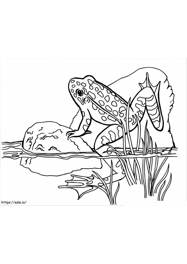 カエル登り ぬりえ - 塗り絵