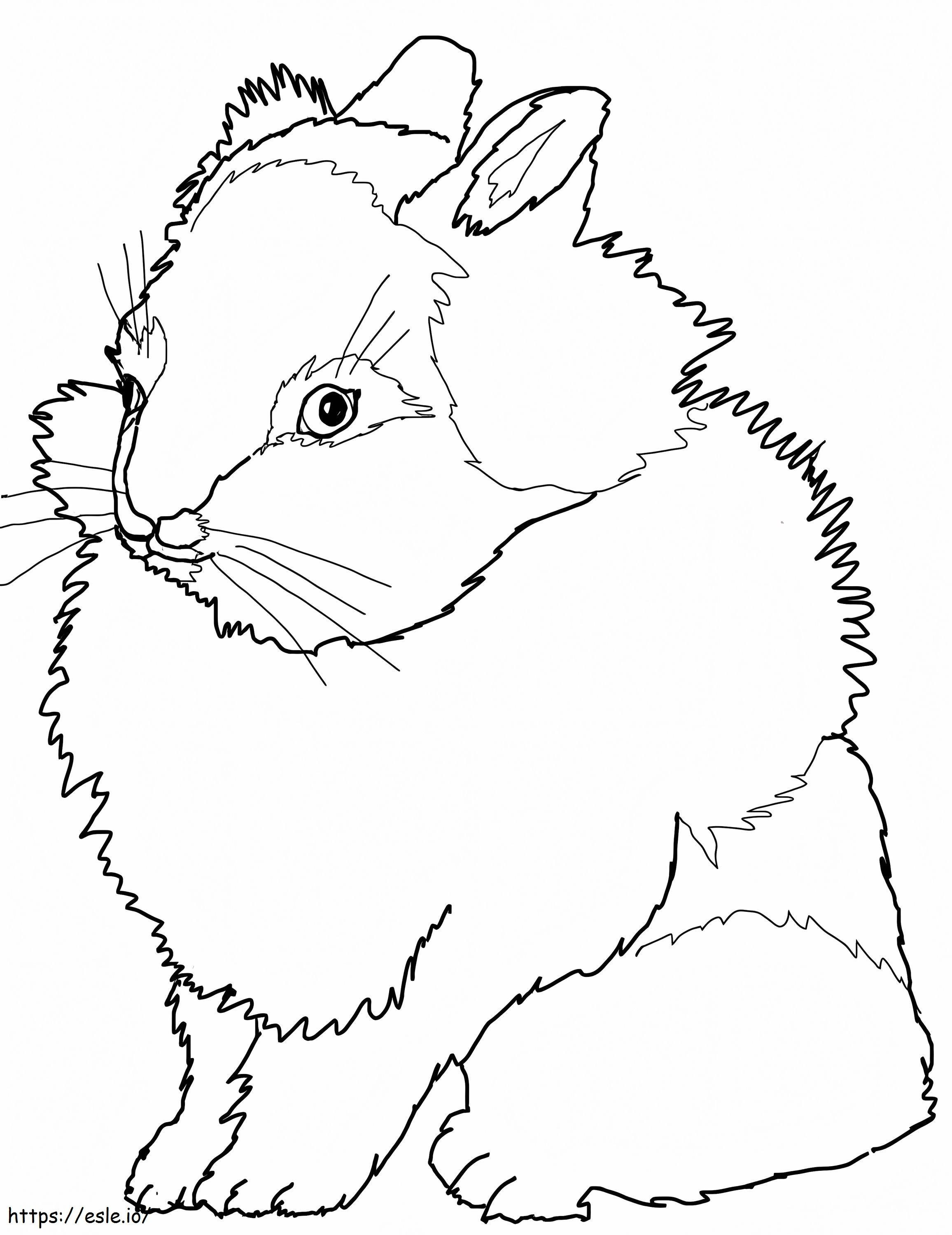 Lion Head Rabbit 789X1024 coloring page