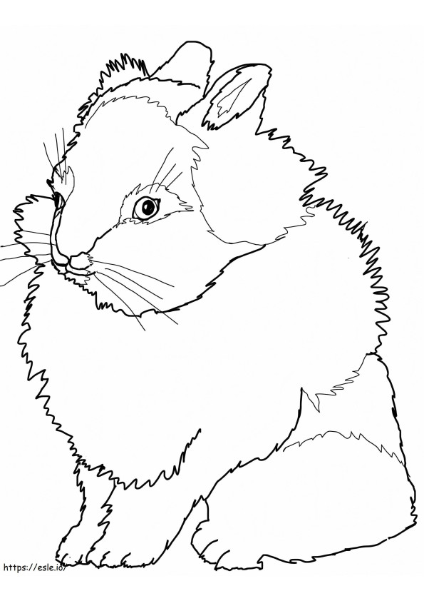 Lion Head Rabbit 789X1024 coloring page