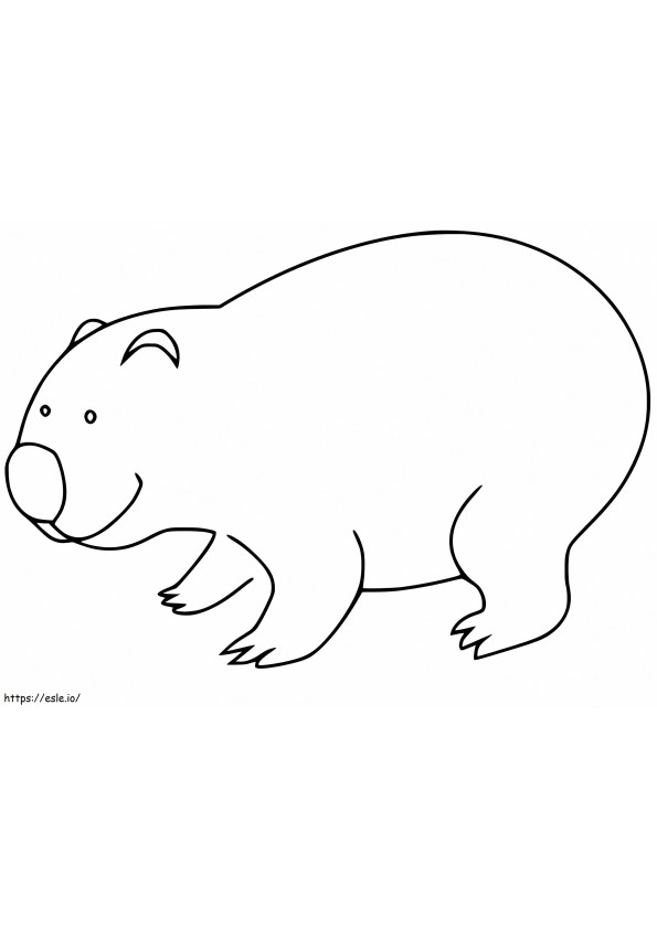 Vombato carino