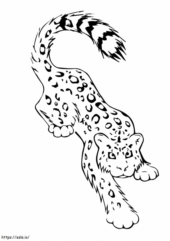 Leopardo da neve para imprimir para colorir