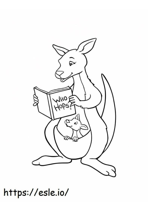 Mother And Baby Kangaroo Reading