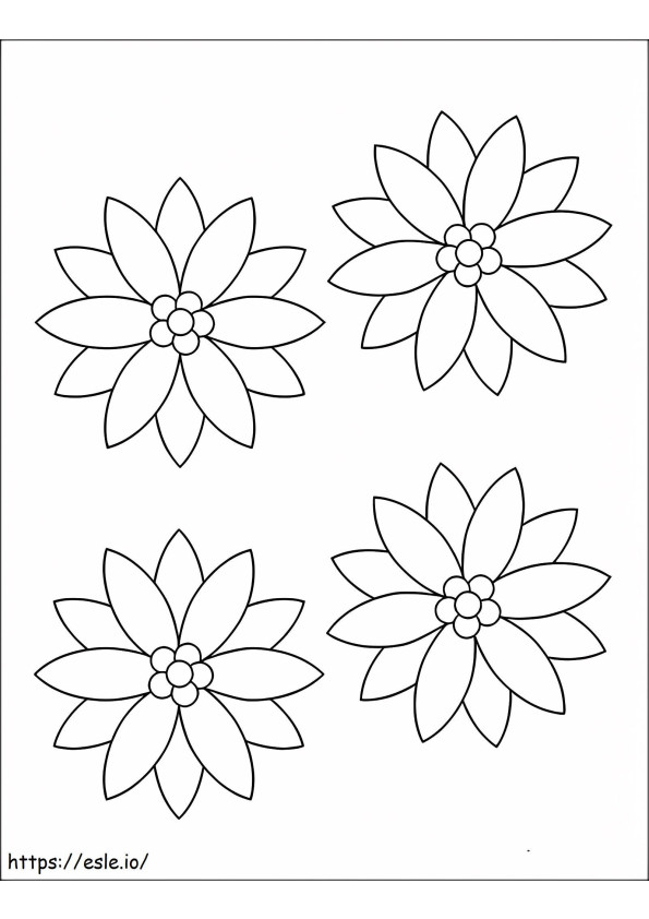 Poinsettia met vier bloemen kleurplaat