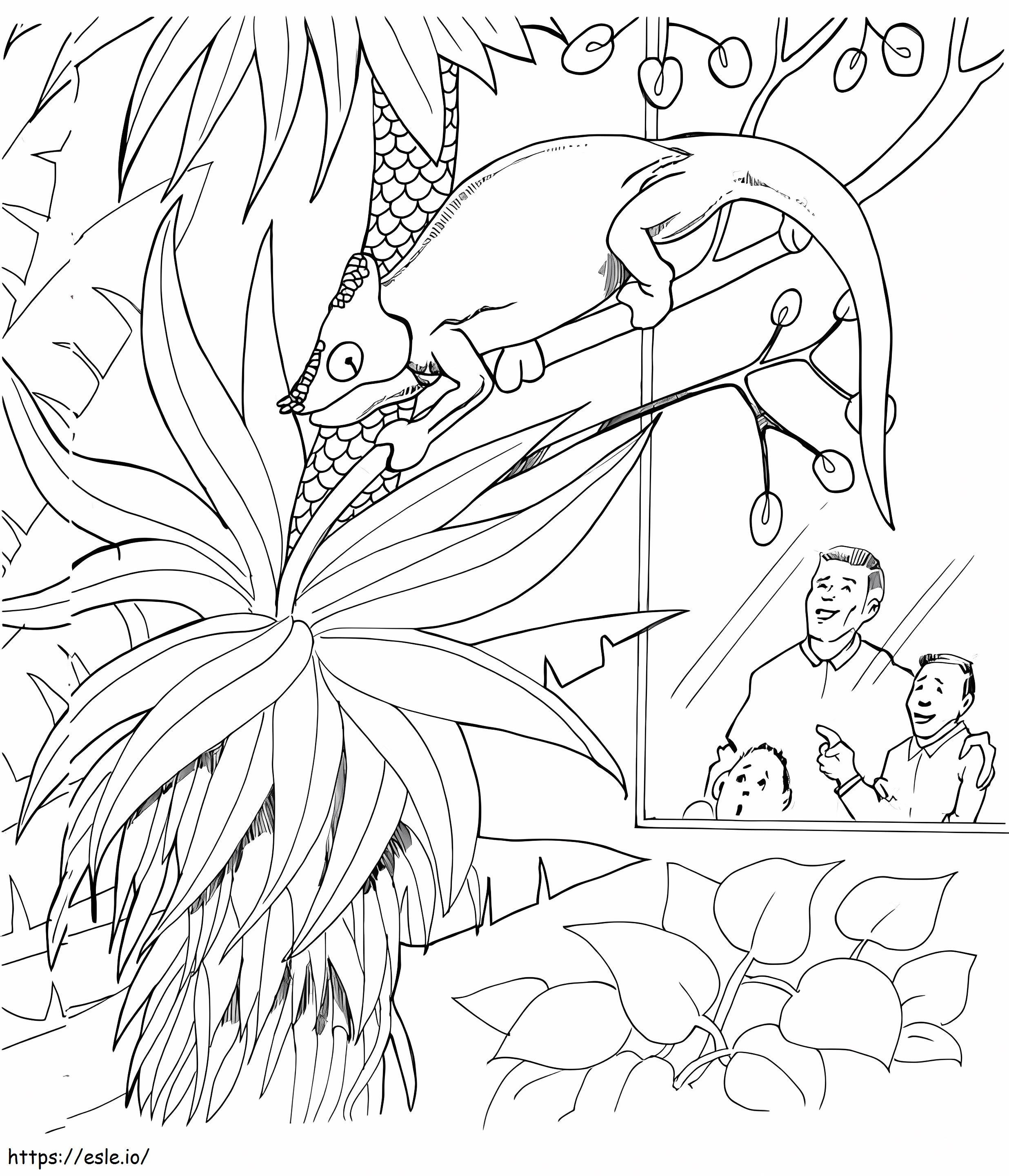 Chameleon In Zoo coloring page