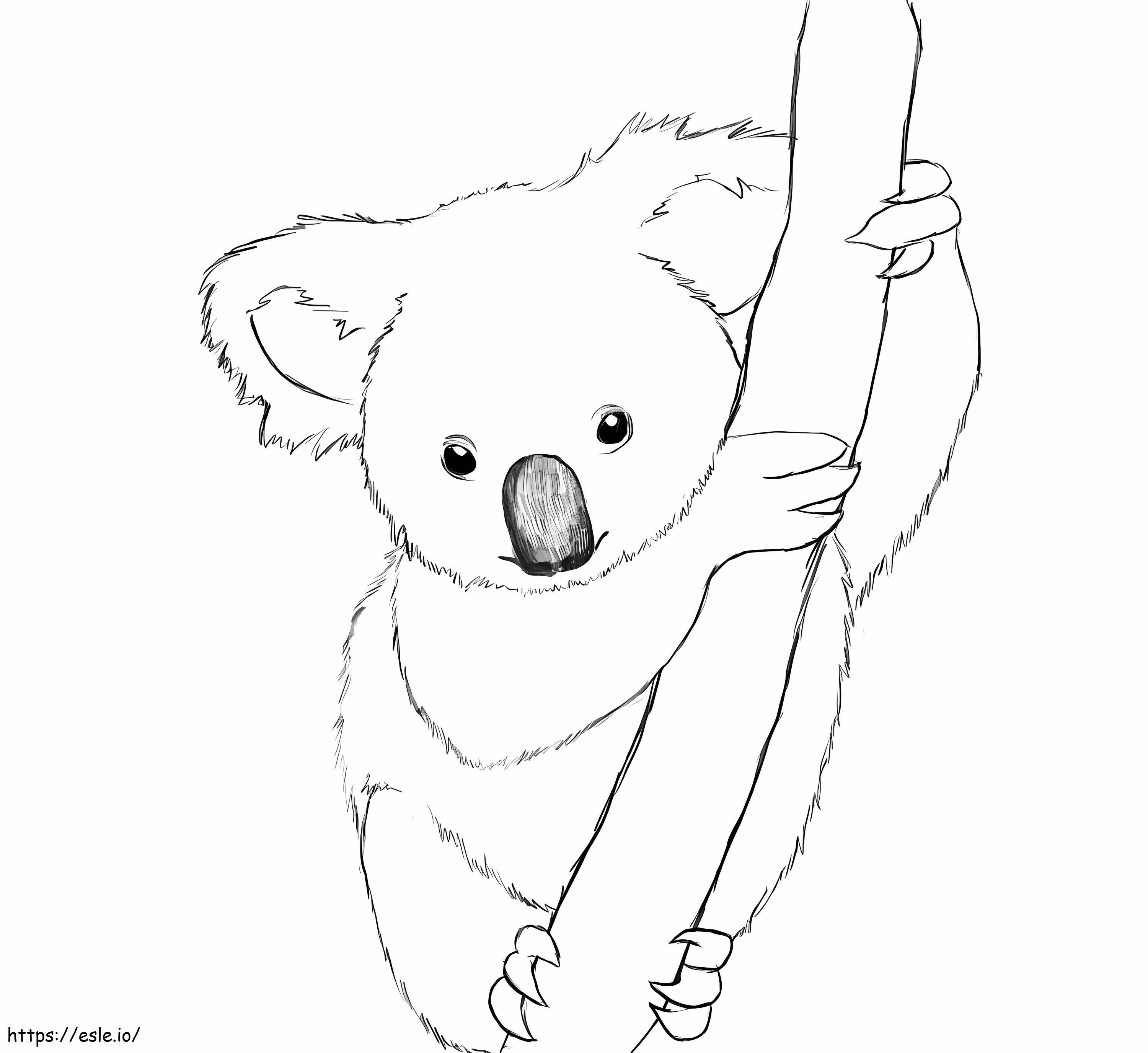 Realistinen koala värityskuva