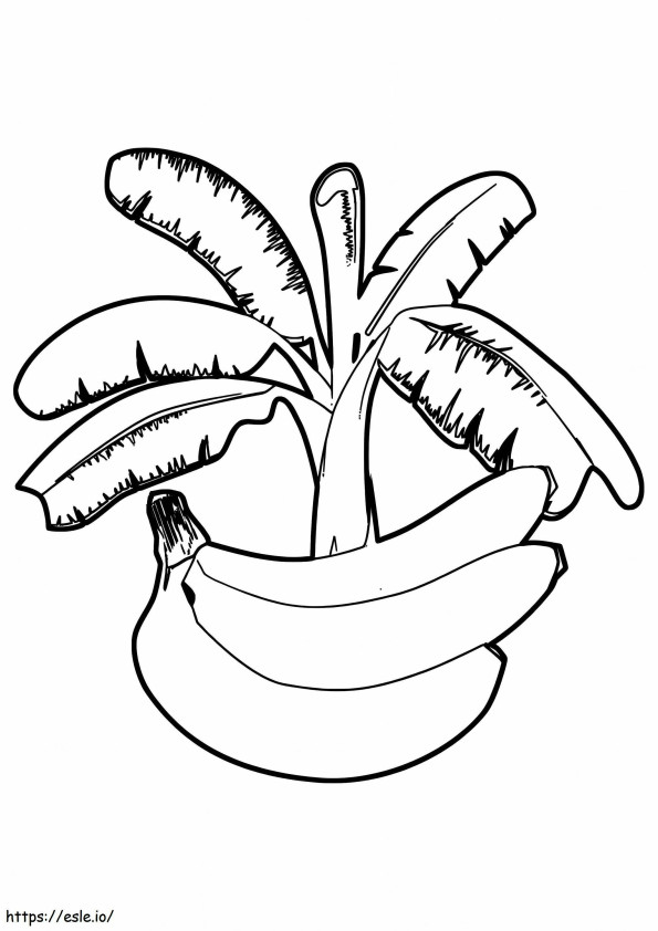Coloriage Banane avec bananier à imprimer dessin