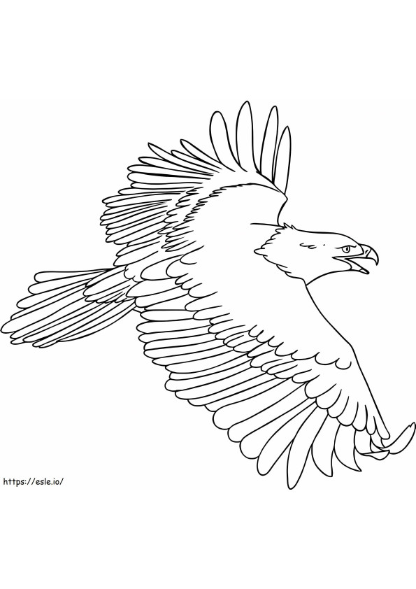 Coloriage Aigle heureux à imprimer dessin