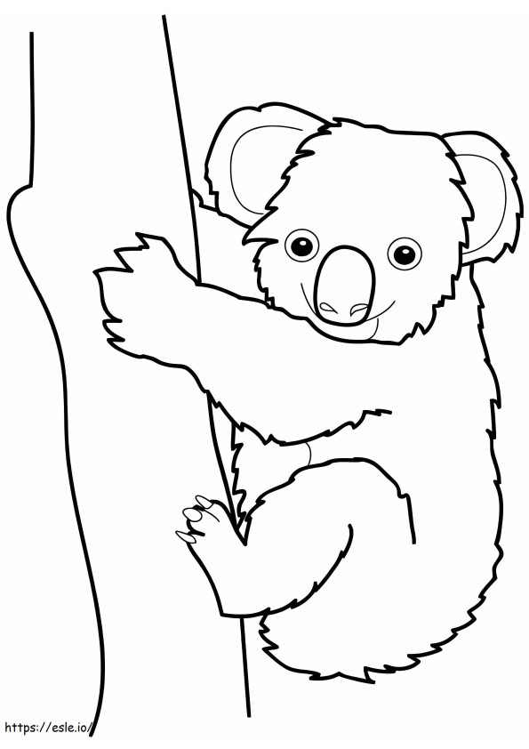 Buon Koala con l'albero da colorare