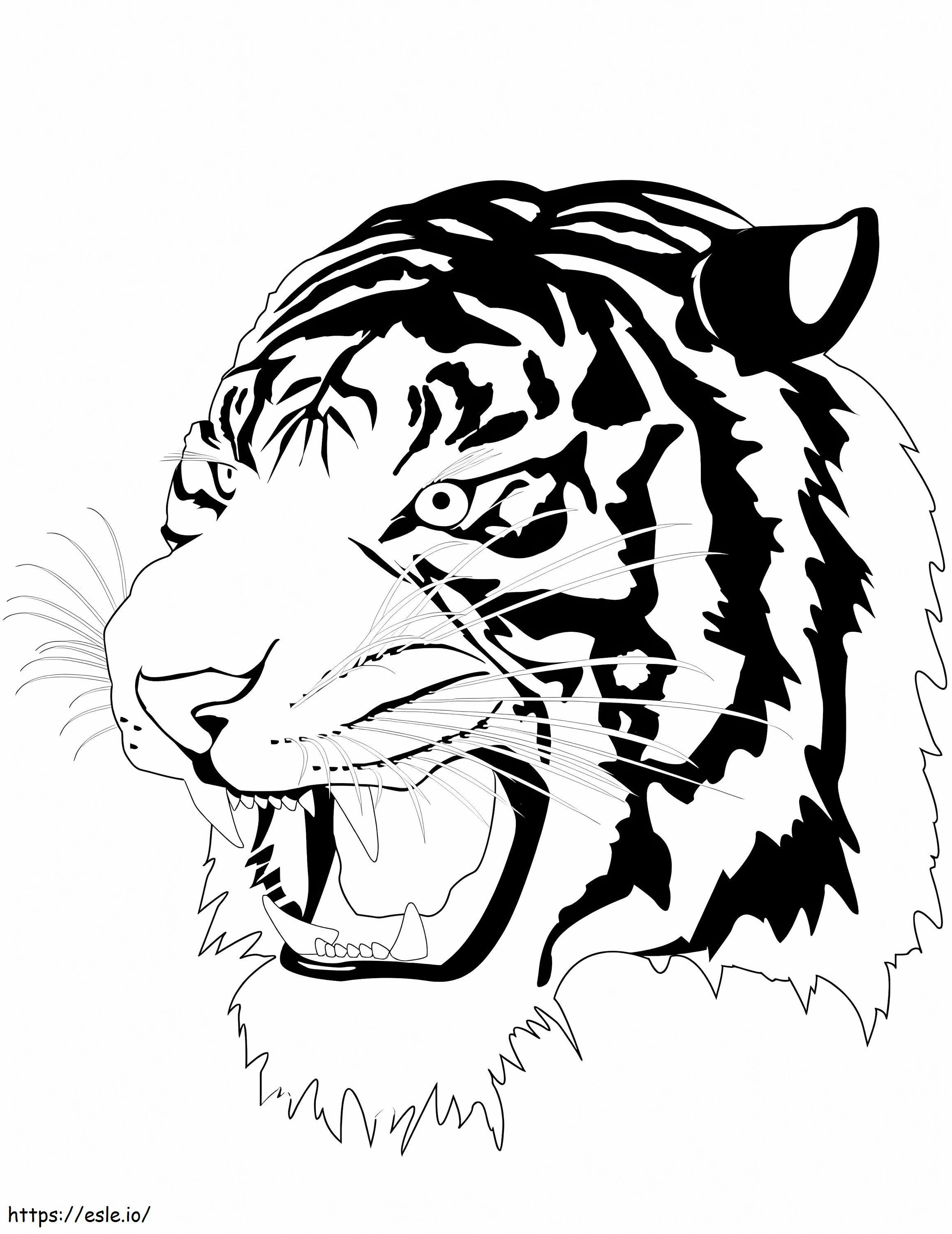 Cabeça de tigre irritado para colorir