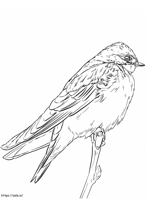 Realistic Tree Swallow coloring page