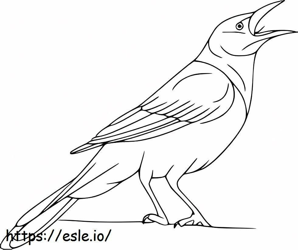 Singing Crow coloring page