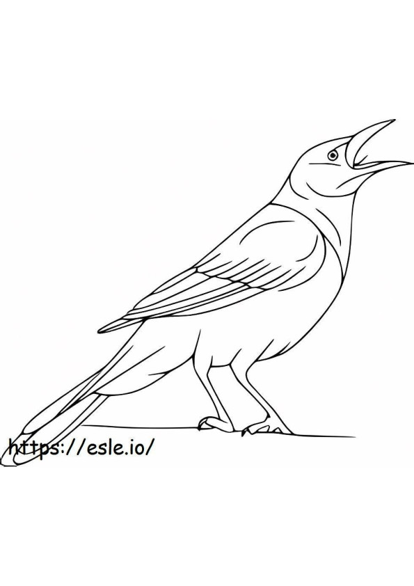 Coloriage Corbeau chantant à imprimer dessin