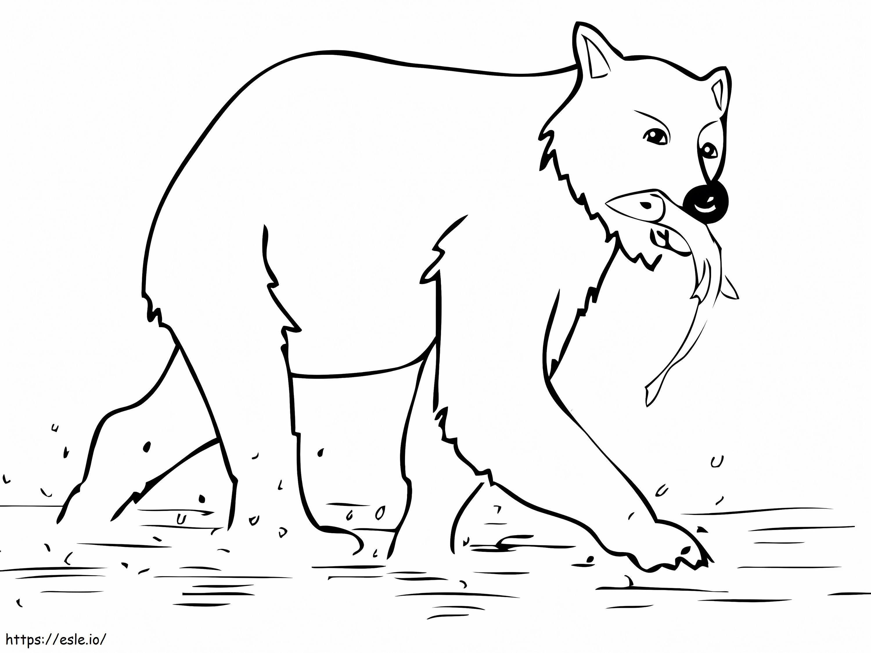 Giovane orso bruno da colorare