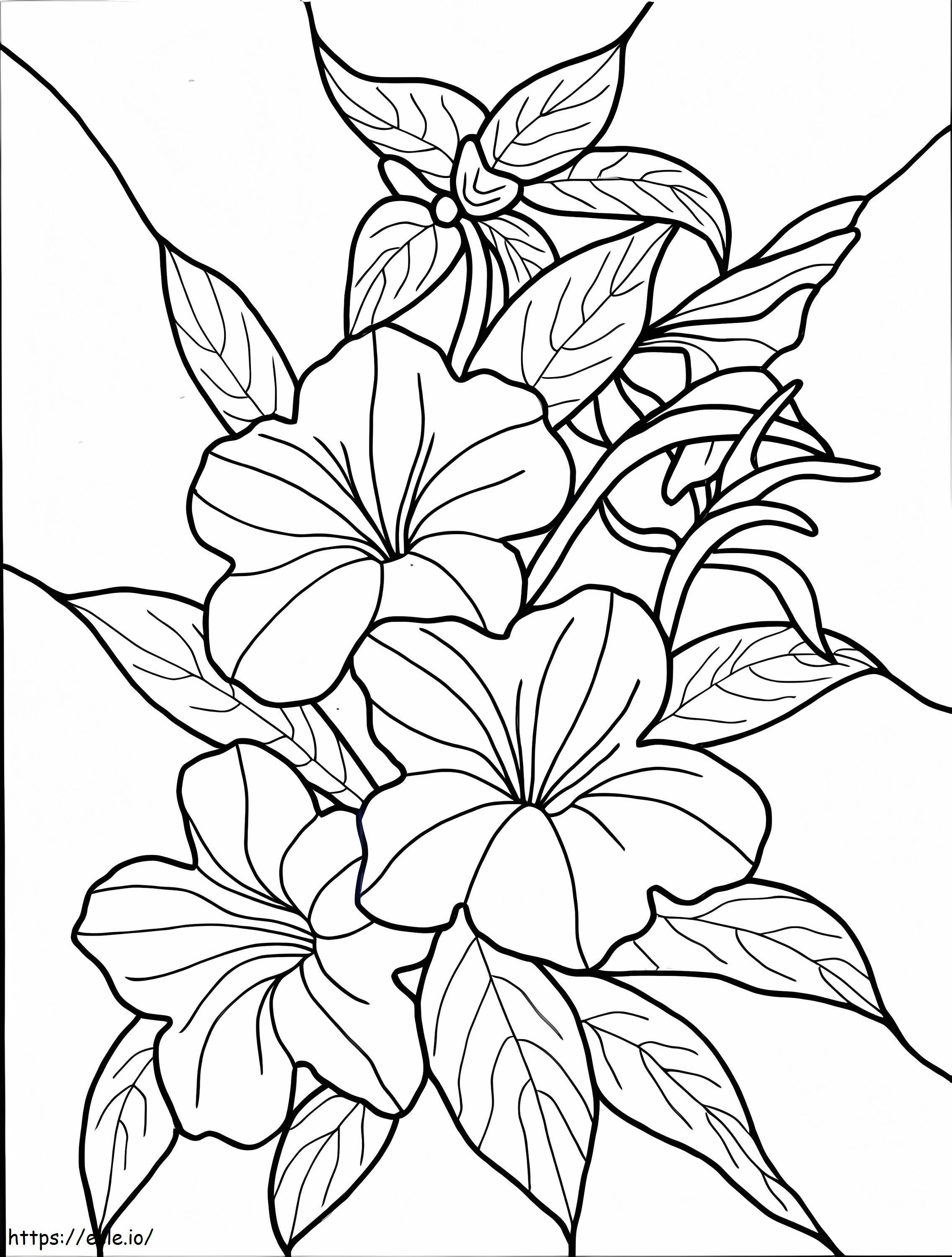 Hawaiian Flower coloring page