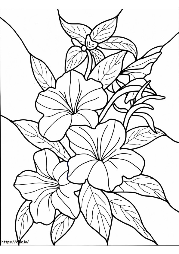 Coloriage Fleur hawaïenne à imprimer dessin